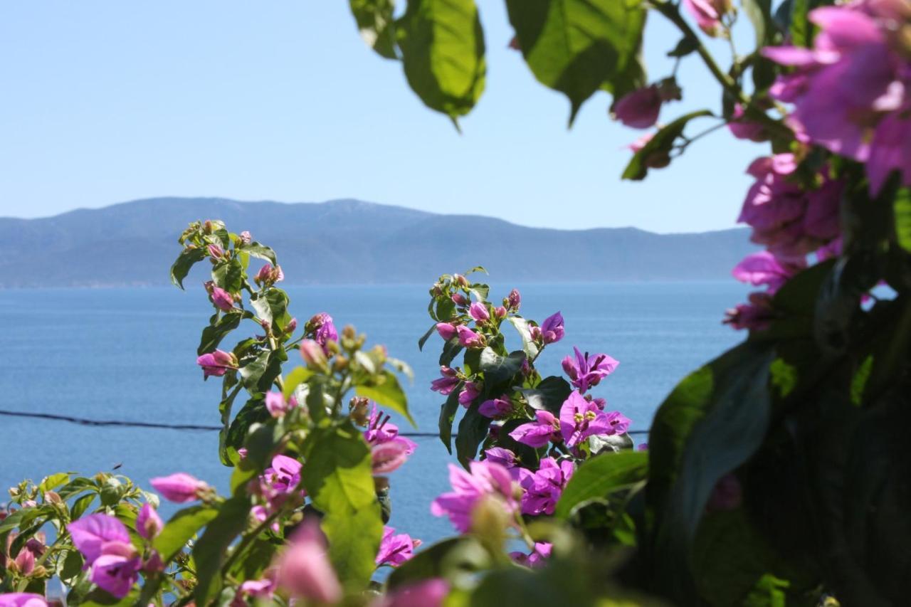 Apartments By The Sea Podaca, Makarska - 6745 Eksteriør bilde